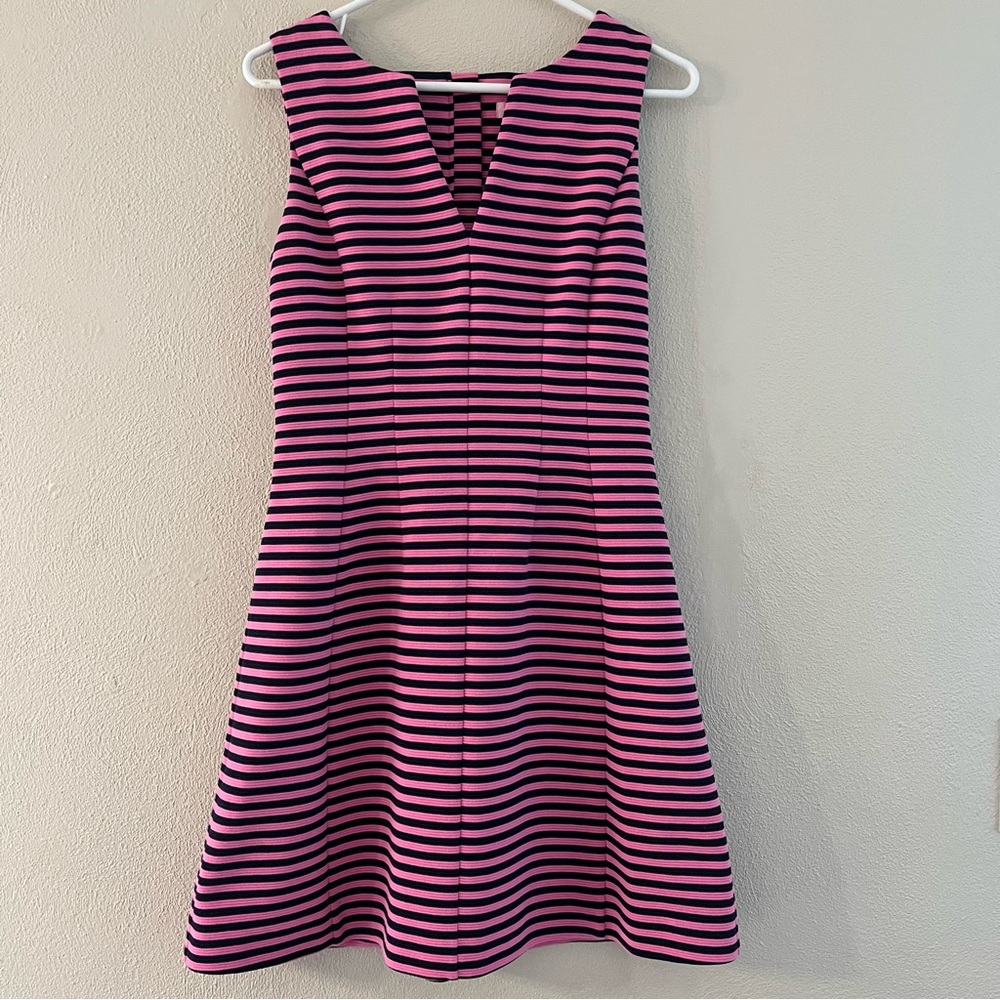 Lilly Pulitzer Brielle Hotty Pink Ottoman Stripe Stretch Fit Flare Dress Size S